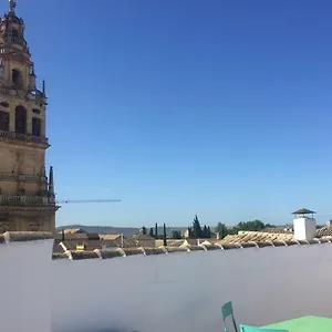 Entre 2 Mezquitas 8 Córdoba