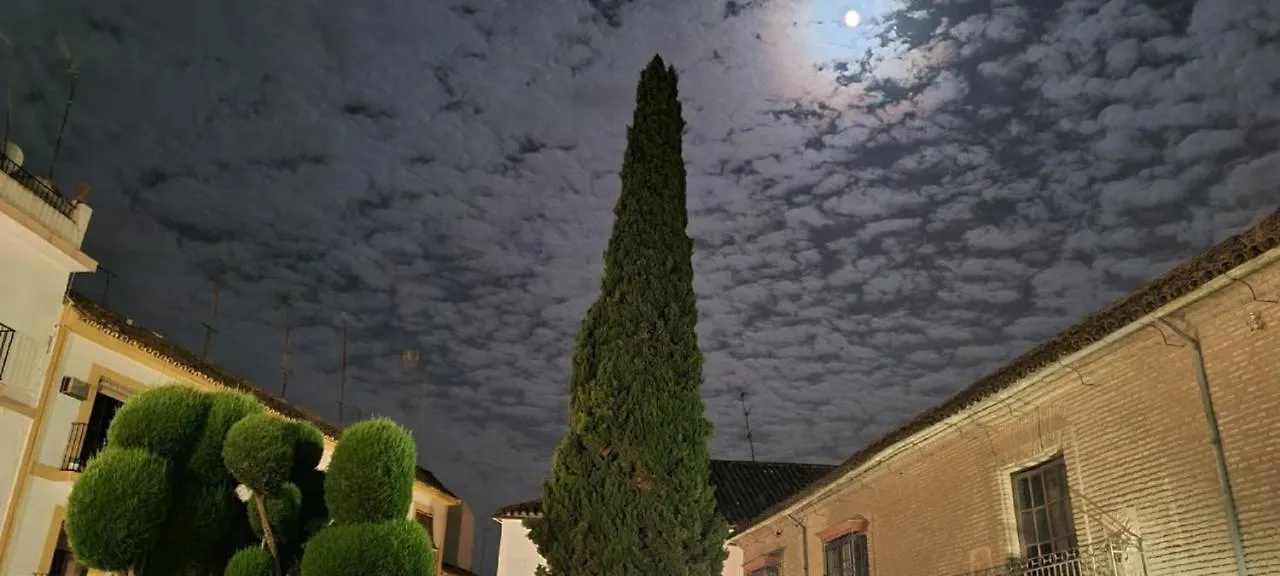 Hotel Plateros Cordoba